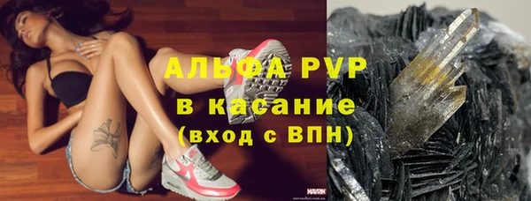 прущие грибы Покровск
